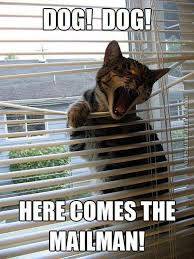 dogcatmailman.jpg