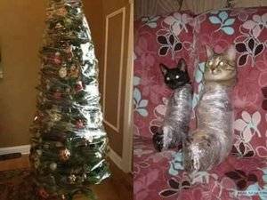 Christmas Trees and Cats.jpg