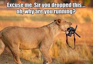 Abandoned camera.jpg