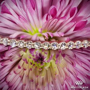 Shared-Prong-Diamond-Bangle-in-14k-Rose-Gold-by-Whiteflash_50537_36648_g.jpg Shared-Prong-Diamond-Bangle-in-14k-Rose-Gold-by-Whiteflash_50537_36648_g.jpg