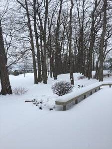 8C5B919D-CBC5-4162-9380-B274583032F3.jpeg