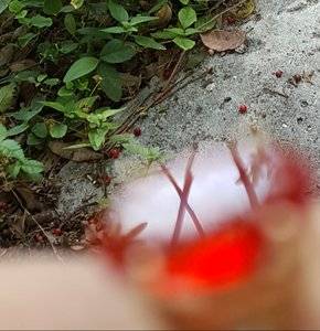 20180207_151807.jpg