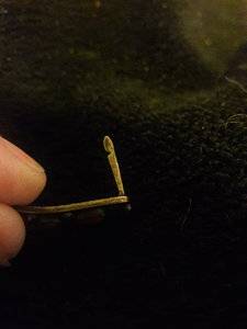 20180213_174753.jpg