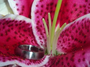 Cole Wedding 021.jpg