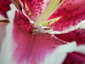 Cole Wedding 014.jpg