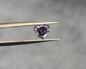 violet83.jpg