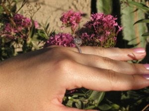ring4_320x240a.JPG