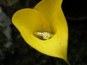 ring444444.jpg