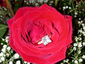 Princess and Rose.JPG Princess and Rose.JPG