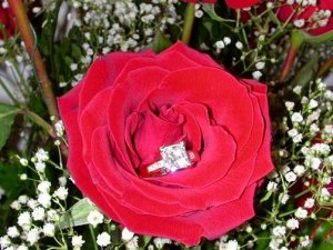 Princess in Flower.JPG