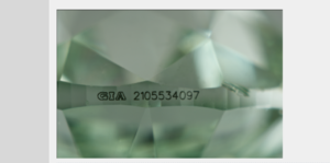 Screen Shot 2018-02-23 at 11.02.02 AM.png