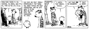 calvin-hobbes-death-meaning.png