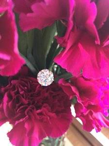 IMG_2548.jpg