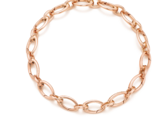 Tiffany charm bracelet.png