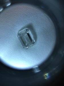 IMG_1537.JPG