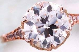 scallop_3.JPG
