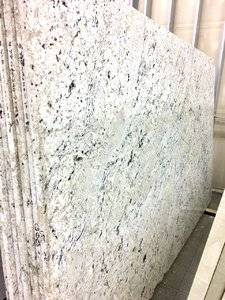 white delicatus.jpg