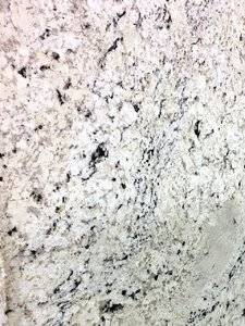 white delicatus 2.jpg