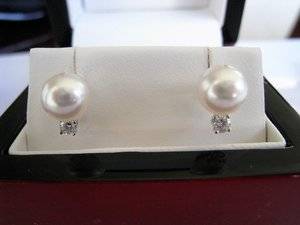 IMG_0051 (Large).JPG