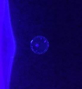 6885D7C6-C7B2-4742-B4E7-3DF383573387.jpeg