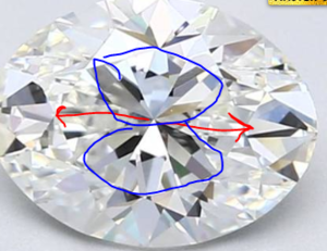 marked oval.PNG