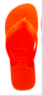 flip flop.png