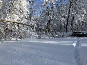 IMG_6372.jpg