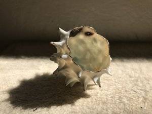 0944E063-6EBE-4B0C-8795-B79C6DE085AE.jpeg
