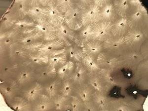 5A611B0E-BB17-4B0E-9A28-C4160AB99CF1.jpeg