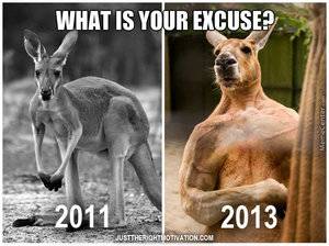 kangaroo before and after.jpg