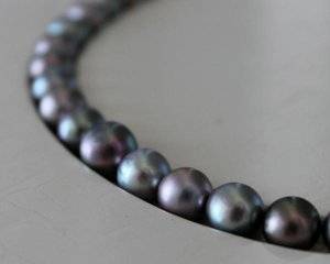 Sea of Cortez pearls1.JPG