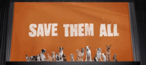 savethemallplease.gif