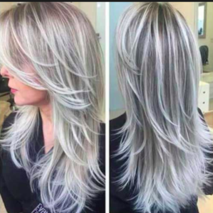 long gray silver.png