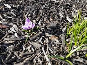 20180331_165536_011.jpg