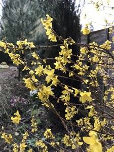IMG_2494.JPG