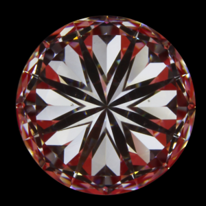 image (1).png