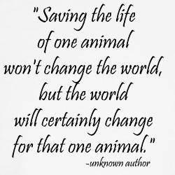 savingoneanimal.jpeg
