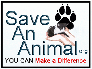 saveananimalmakeadifference.gif
