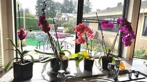 20180407_125936.jpg