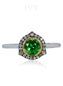 R1566_1600x.png