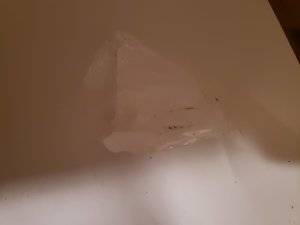 20180408_205406.jpg
