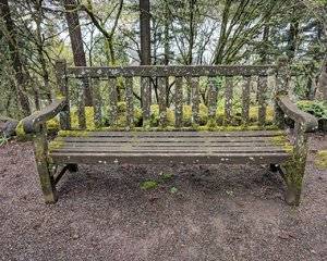 mossy bench.jpg