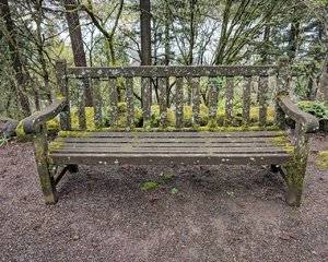 mossy bench.jpg