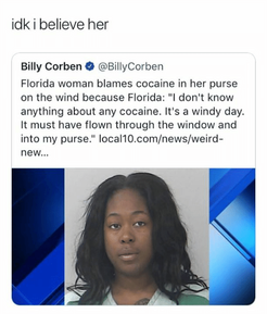 idk i believe her.png