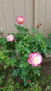 20180411_143829.jpg