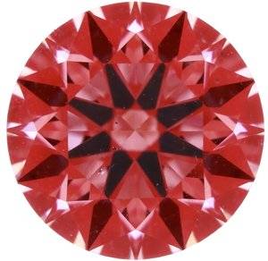 2446469.jpg