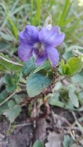 IMG_20180411_171912.jpg