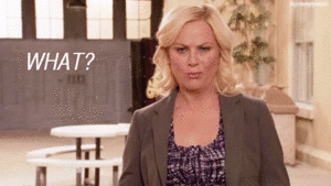 whatparksandrecreation.gif