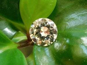4.5ct on plant.JPG