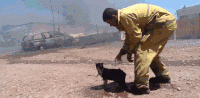 firemanrescuingcat.gif